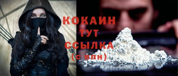 дмт Кулебаки
