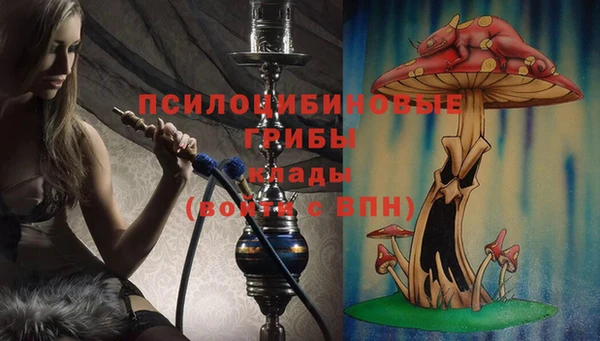 apvp Куйбышев