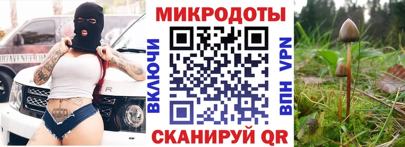 Галлюциногенные грибы мицелий  Курчатов 