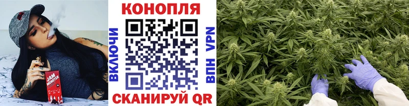 МЕГА онион  Курчатов  Шишки марихуана сатива  где купить  